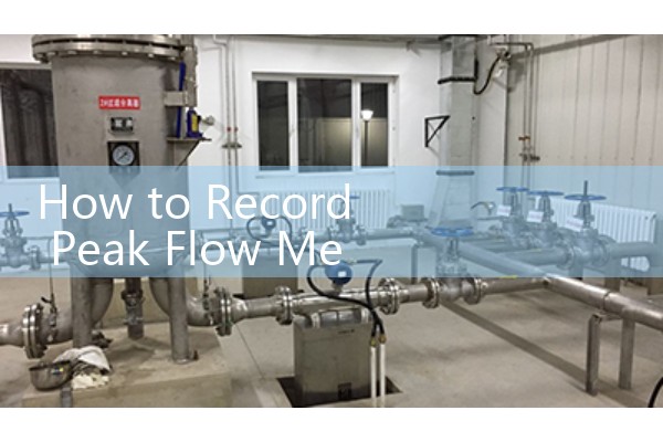 How to Record Peak Flow Meter Readings: Building a Digital Asthma Tracking Dashboard Tracker
